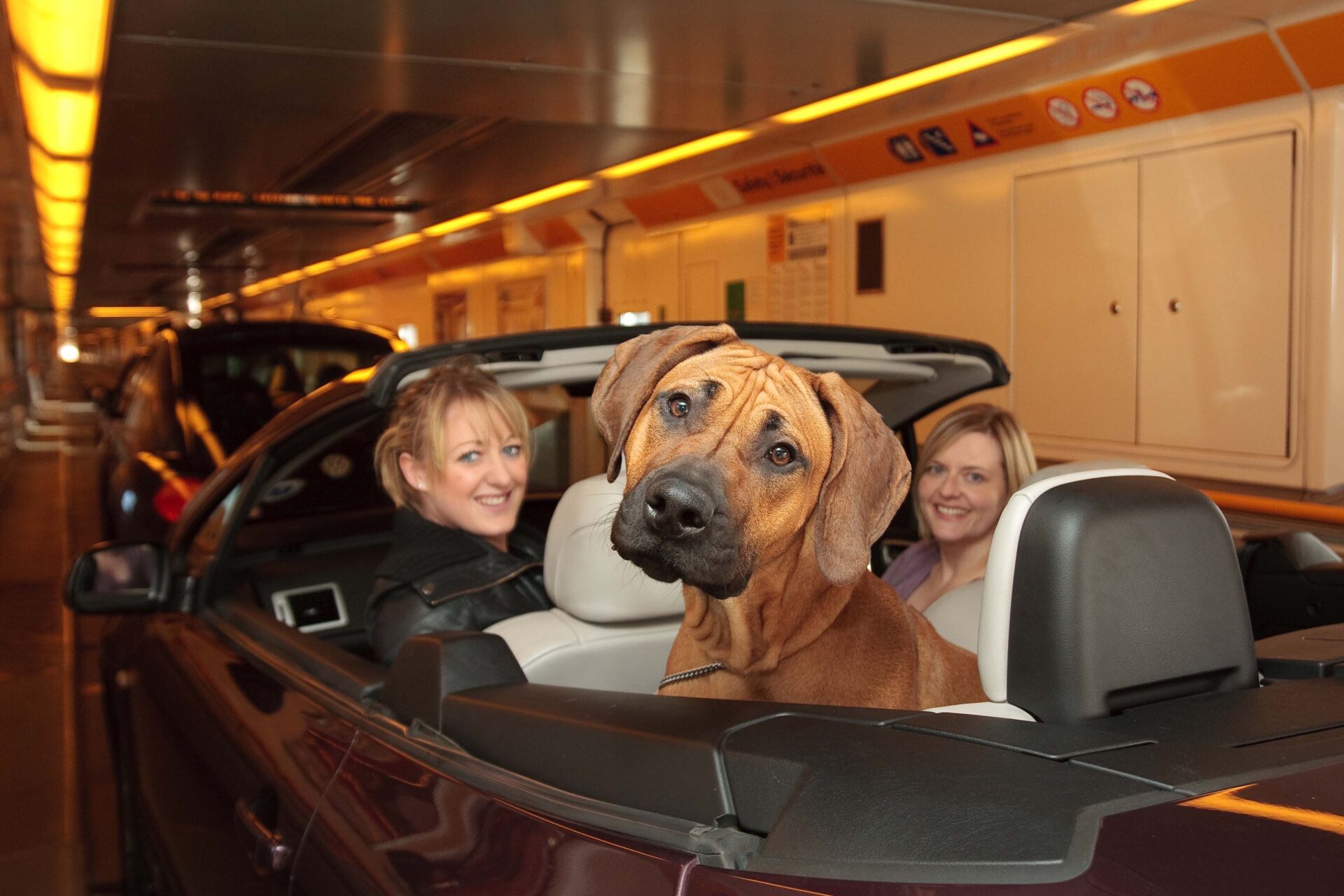 10 Reasons To Choose A SelfDrive Holiday With Eurotunnel Le Shuttle