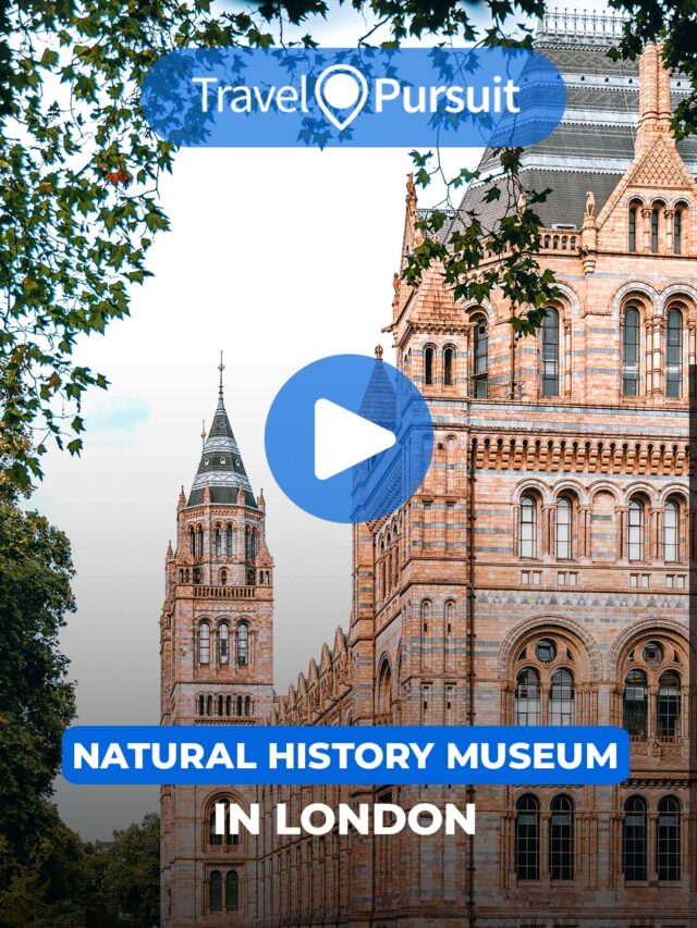 Natural History Museum Poster