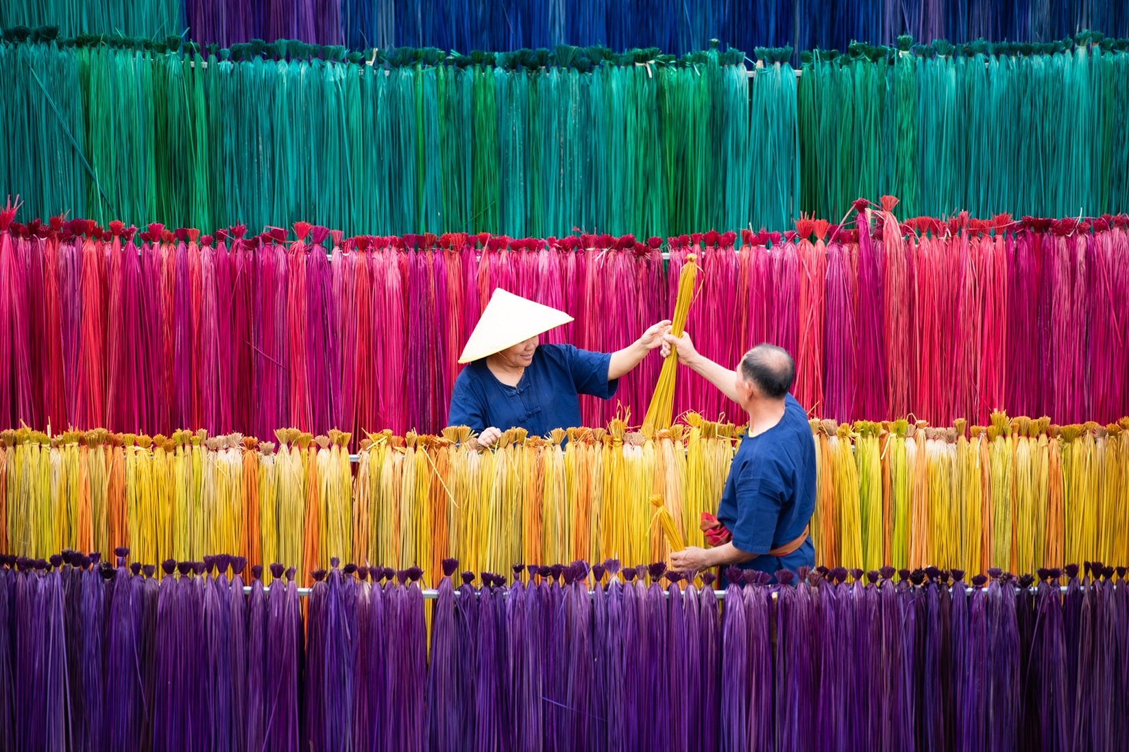 processing-of-flax-trees-into-different-colors-mekong