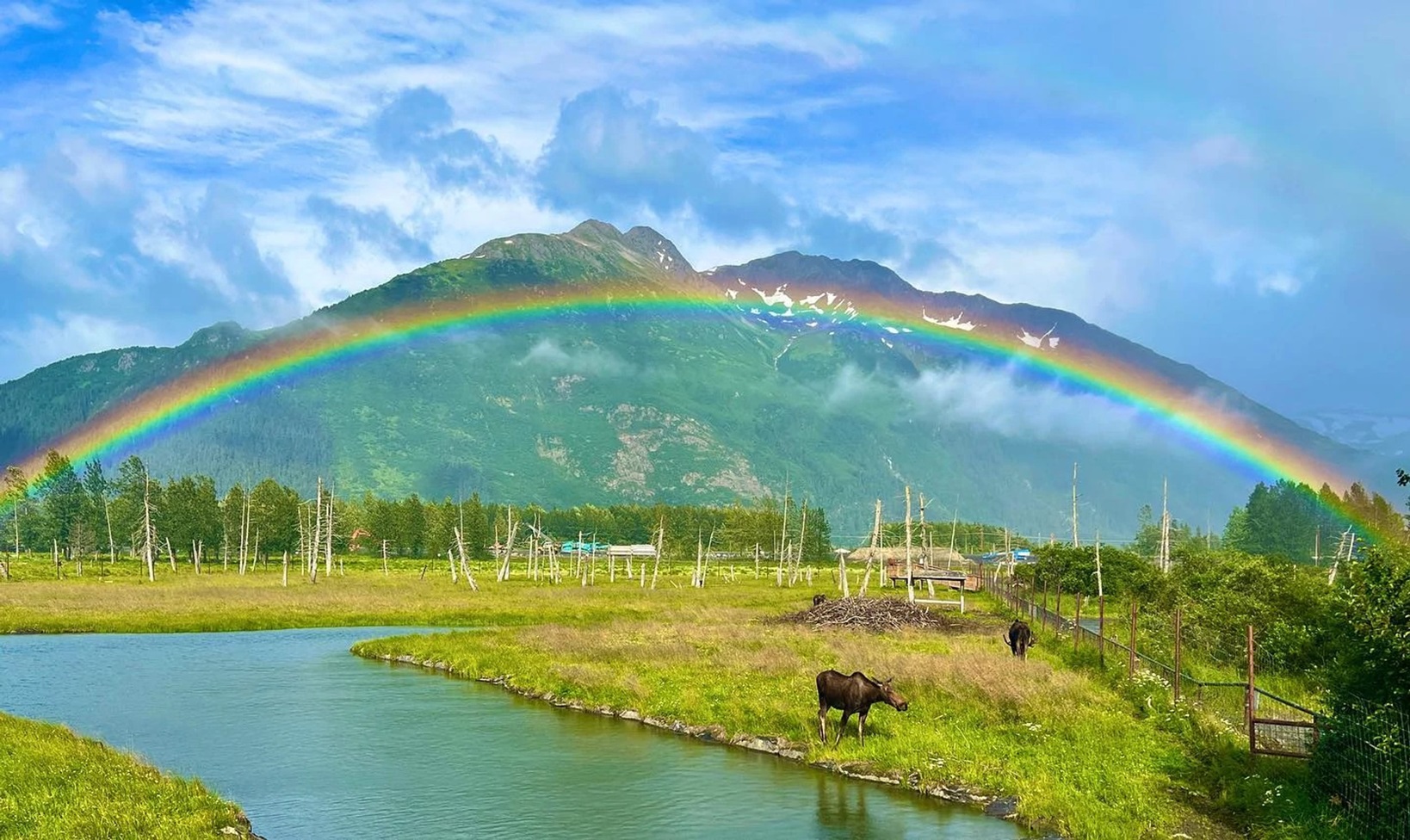 Holland America Line